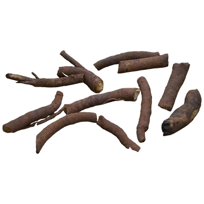 Comfrey Root Cuttings (Symphytum × uplandicum 'Bocking 14')