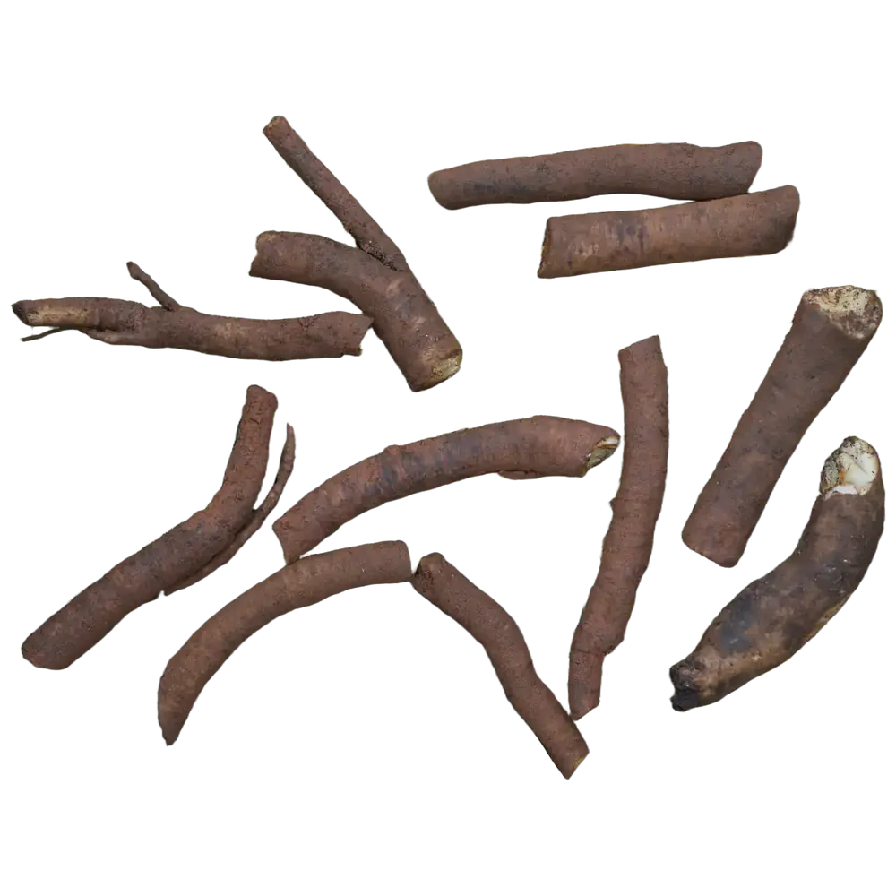 Comfrey Root Cuttings (Symphytum × uplandicum 'Bocking 14')