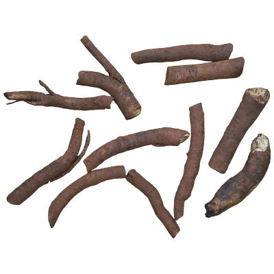 Comfrey Root Cuttings (Symphytum × uplandicum 'Bocking 14')