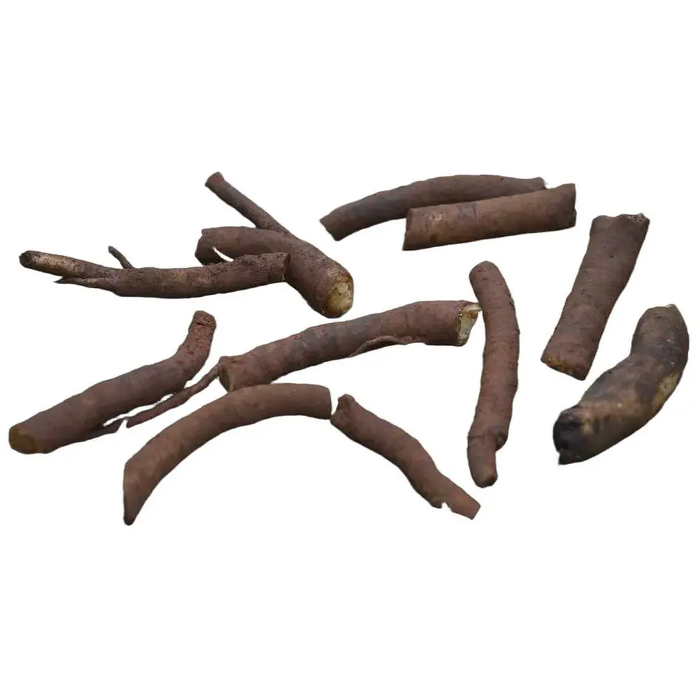 Raízes de Consolda Bocking 14 (Estéril) - O Adubo Natural da Permacultura