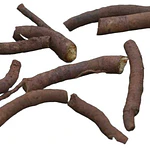 Raízes de Consolda Bocking 14 (Estéril) - O Adubo Natural da Permacultura