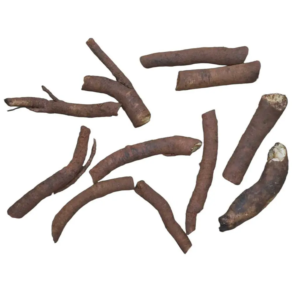 Raízes de Consolda Bocking 14 (Estéril) - O Adubo Natural da Permacultura
