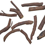 Raízes de Consolda Bocking 14 (Estéril) - O Adubo Natural da Permacultura