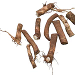 Raízes de Rábano-Picante (Horseradish) - Variedade Gourmet Super Robusta