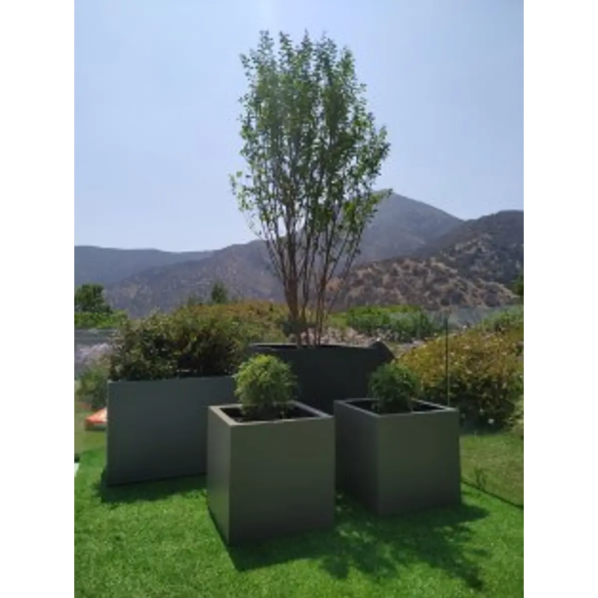 Cubos