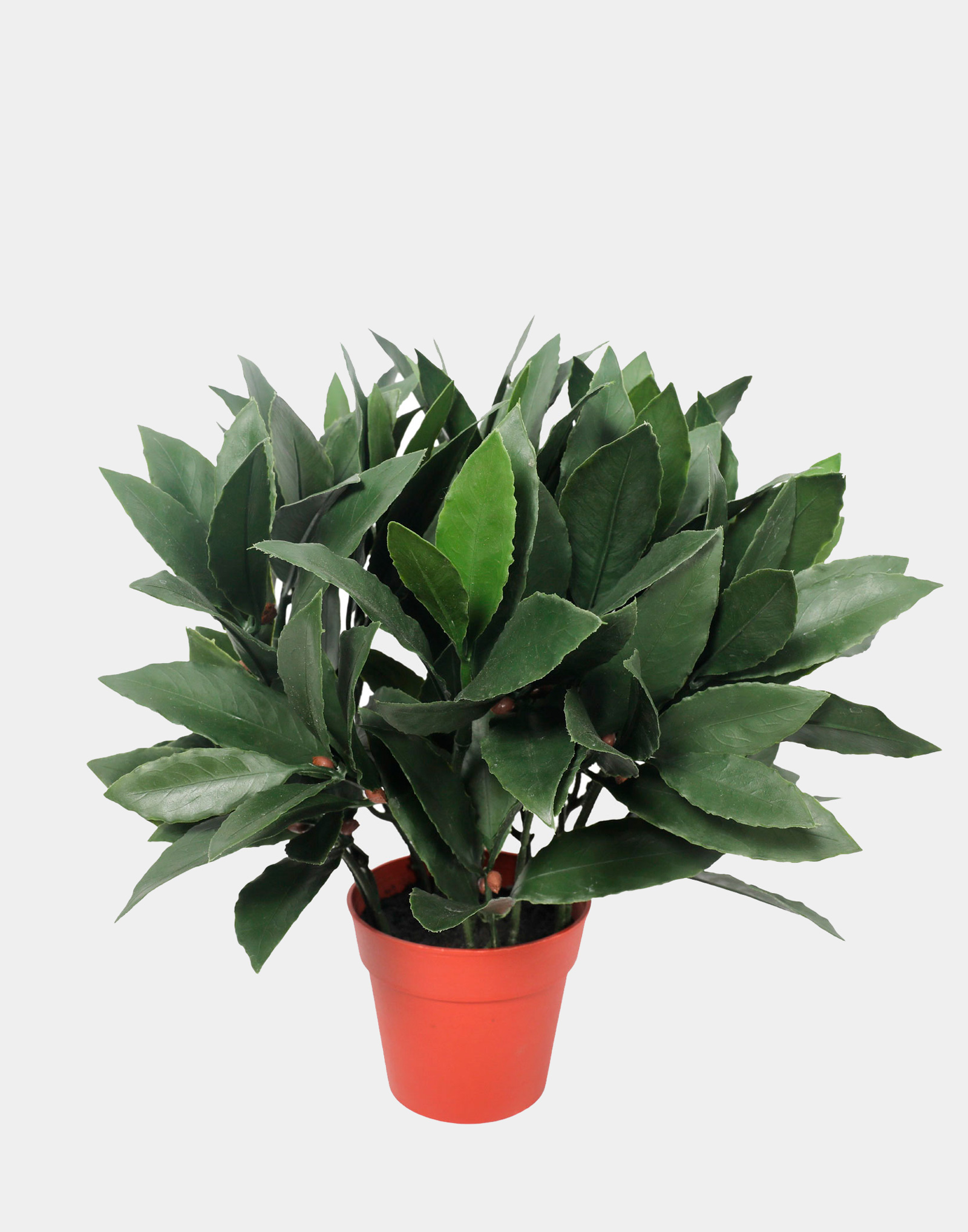 LAUREL MINI ARTIFICIAL UV