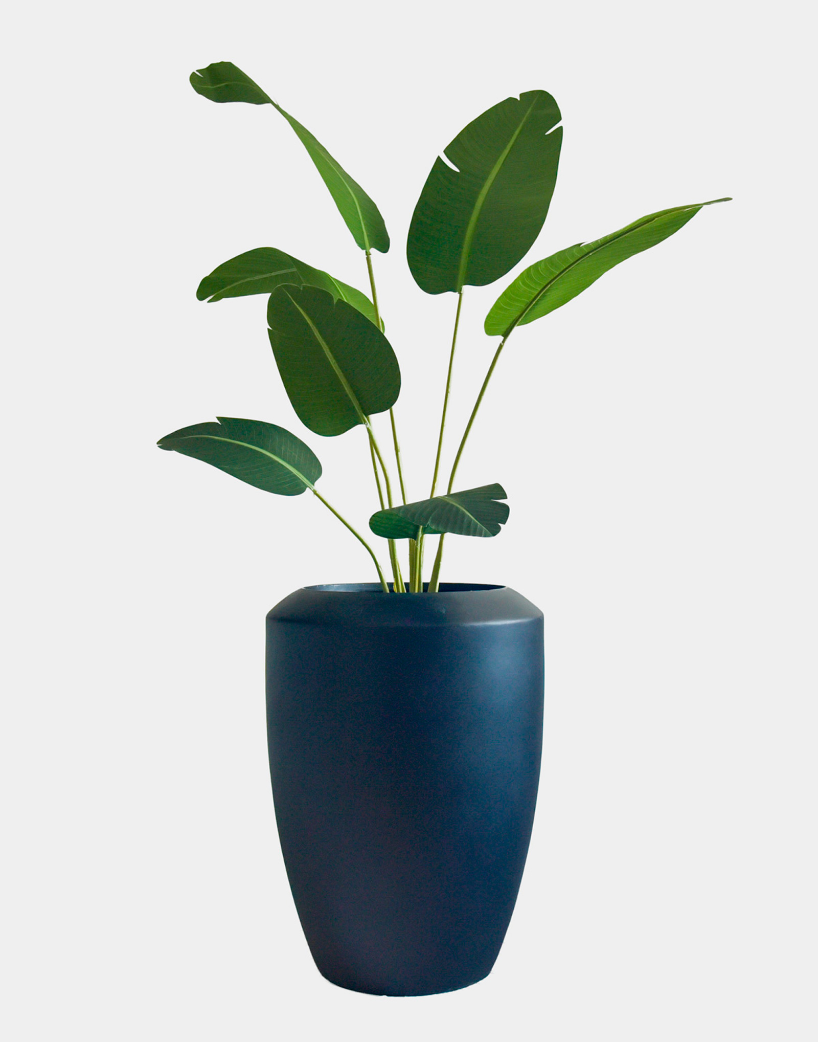 Strelitzia 180cm Artificial | Estilo Natural para Interiores y Vitrinas