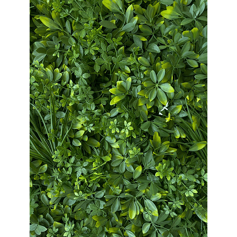 PASTO MURAL UV SHEFFLERAS