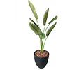 Strelitzia artificial UV