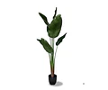 Strelitzia artificial UV