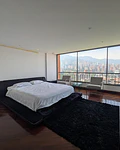 HATO VIEJO