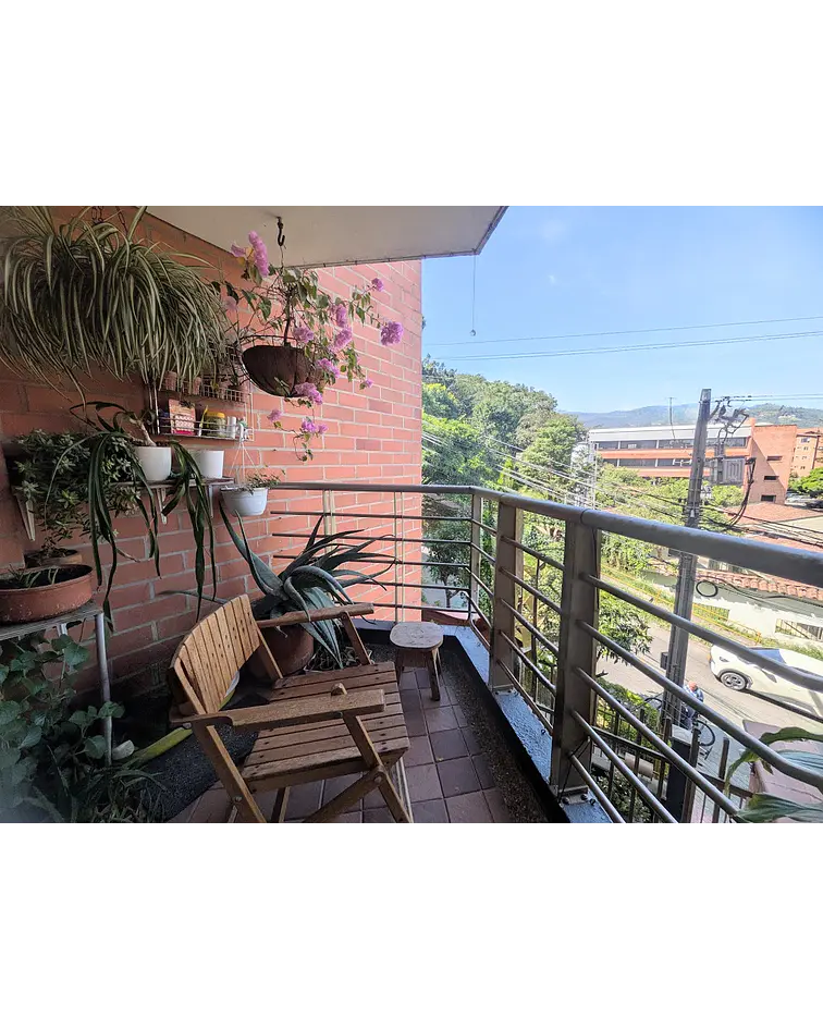 BOSQUES ZUÑIGA