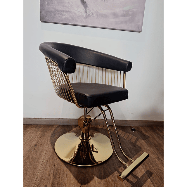 SILLON DE PELUQUERIA PARIS GOLD 