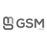 GSM Chile - Mayorista