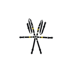 Arnés berlina GT2i PRO V3 FIA