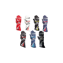 GUANTES GT2I PRO 03 FIA 8856-2018