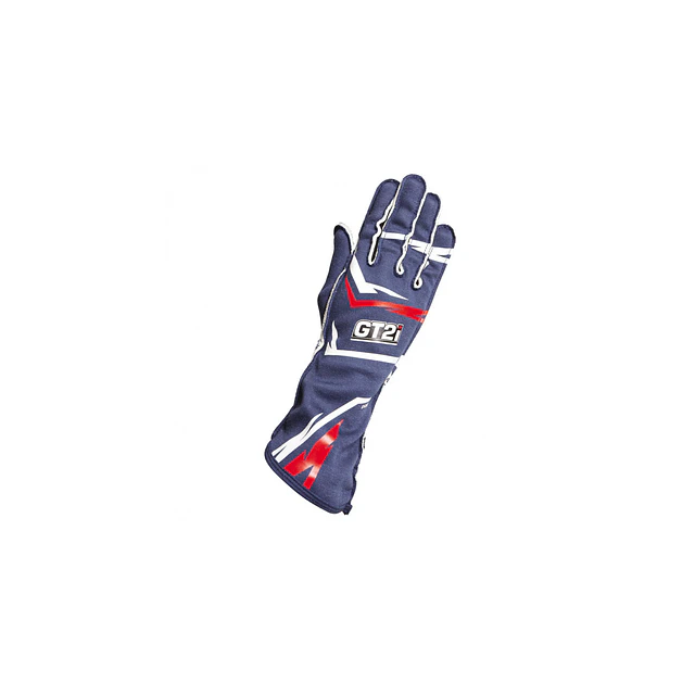 GUANTES GT2I PRO 03 FIA 8856-2018