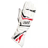 GUANTES GT2I PRO 03 FIA 8856-2018