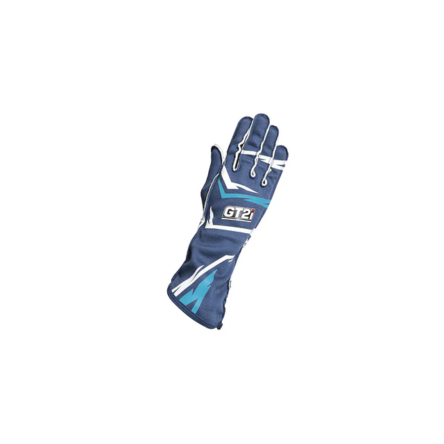 GUANTES GT2I PRO 03 FIA 8856-2018