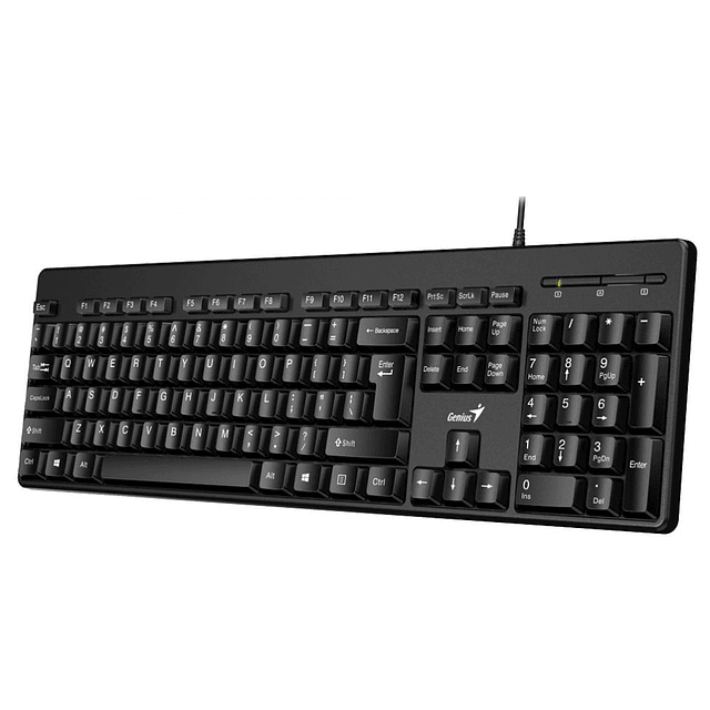 Teclado Genius Kb-116 Qwerty Español Color Negro