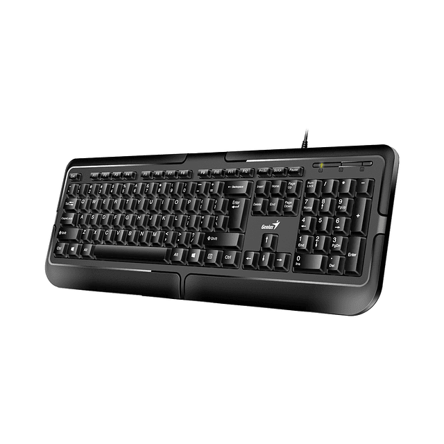 Teclado Genius Smart Kb-118 Qwerty Español Color Negro