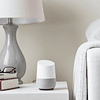 Asistente Virtual Google Assistant White y Slate Modelo Google Home