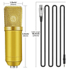 Micrófono Condensador Profesional Estudio YouTube Música Colores Modelo BM-800