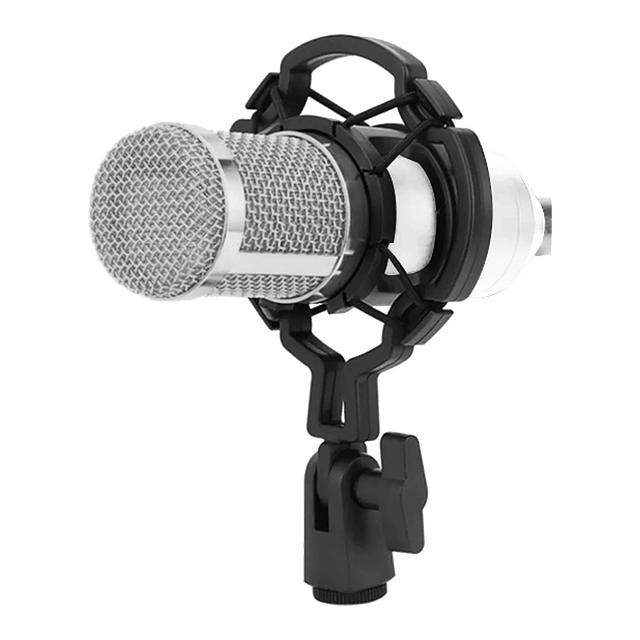 Micrófono Condensador Profesional Estudio YouTube Música Colores Modelo BM-800