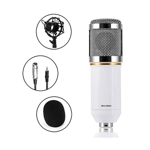 Micrófono Condensador Profesional Estudio YouTube Música Colores Modelo BM-800