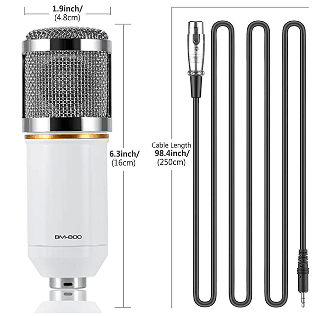 Micrófono Condensador Profesional Estudio YouTube Música Colores Modelo BM-800