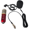 Micrófono Condensador Profesional Estudio YouTube Música Colores Modelo BM-800