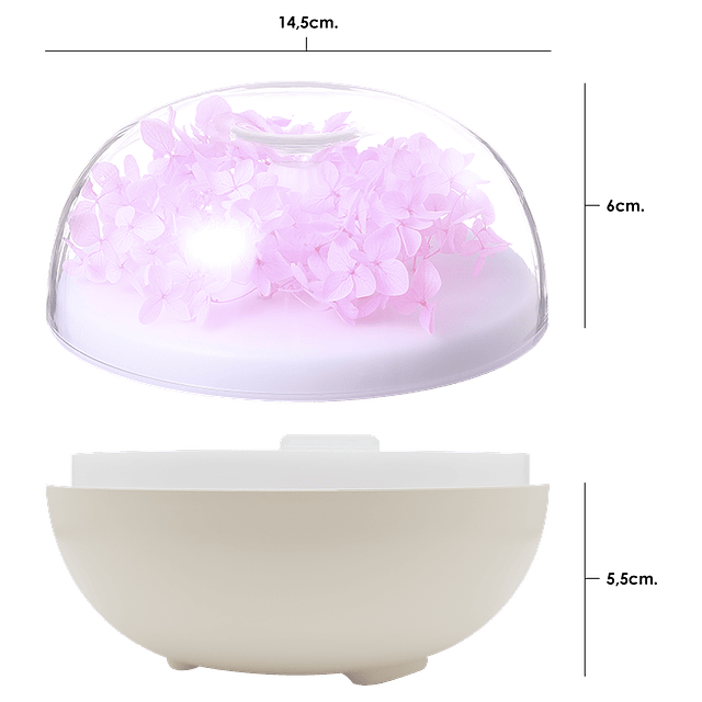 Humidificador Con Lámpara Nocturna / Everlasting Flower / Color Rosa