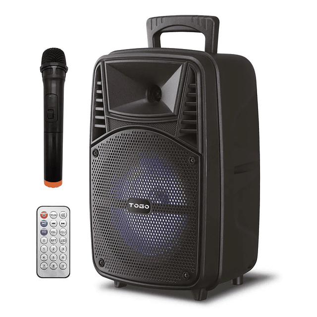 Parlante Bluetooth Karaoke Con Micrófono Inalámbrico Doble Batería 1000W. Modelo TOGO-7781