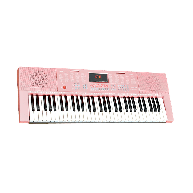 Teclado Piano de 61 Teclas Mod. YM-288