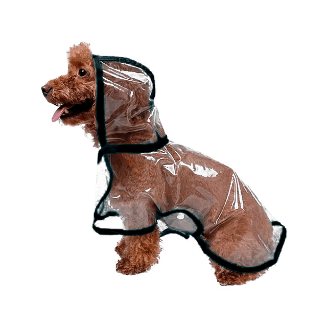 Capa De Lluvia Para Perro Impermeable Transparente TGO