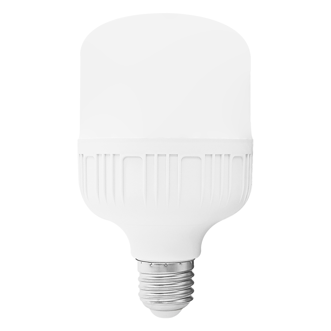 Luz Fría / GTI Modelo WG BFMQP-20W