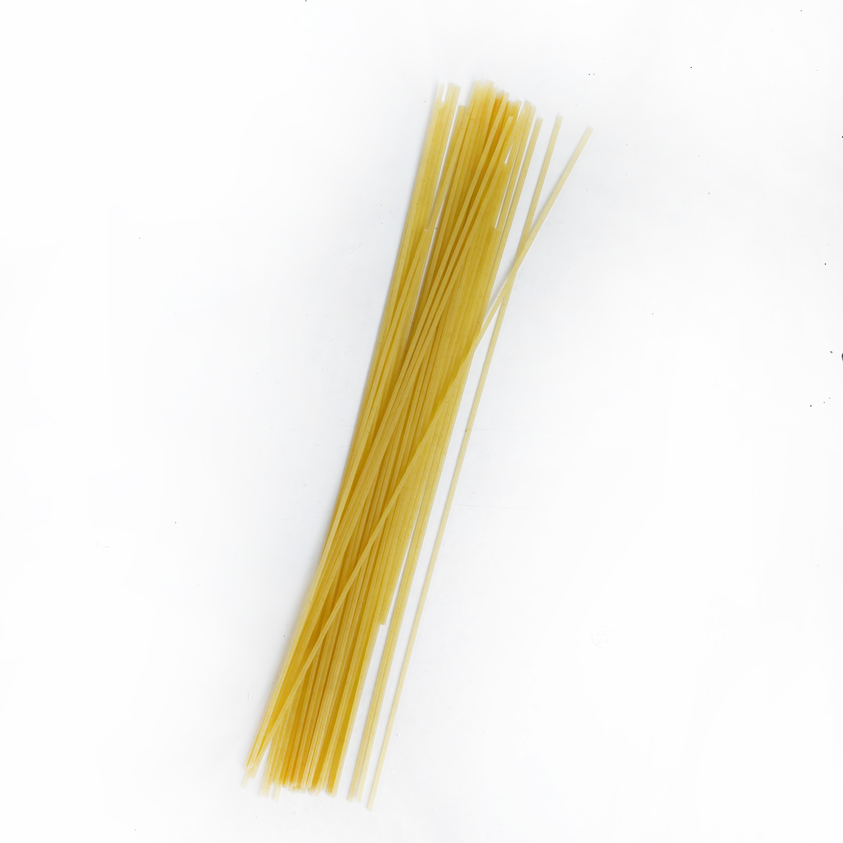 Spaghetti Carozzi