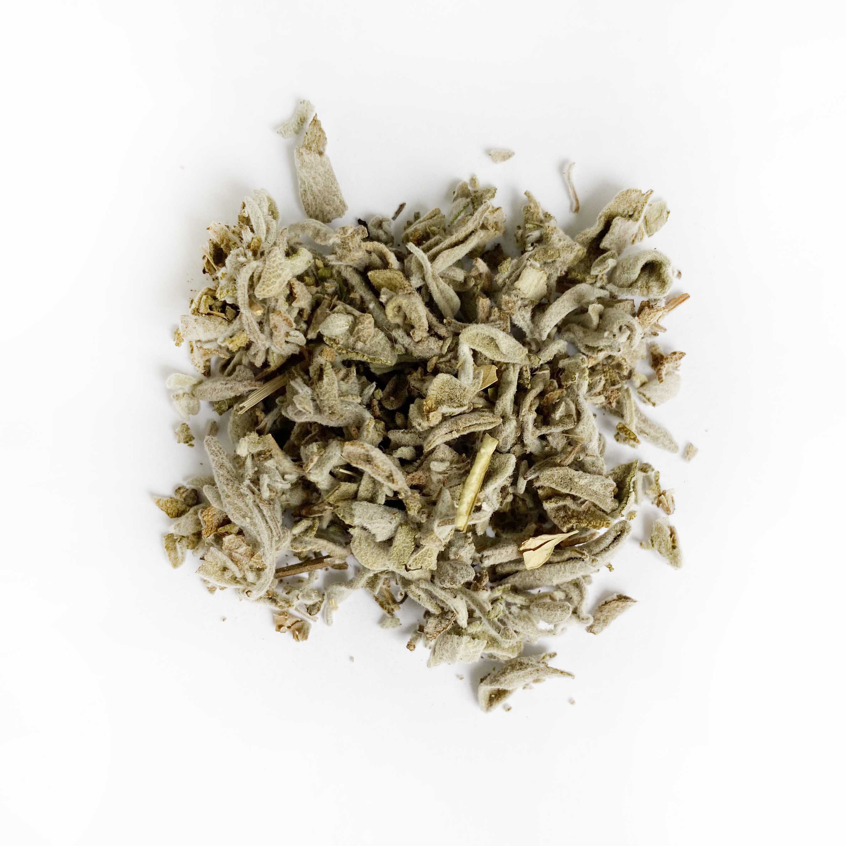 Salvia