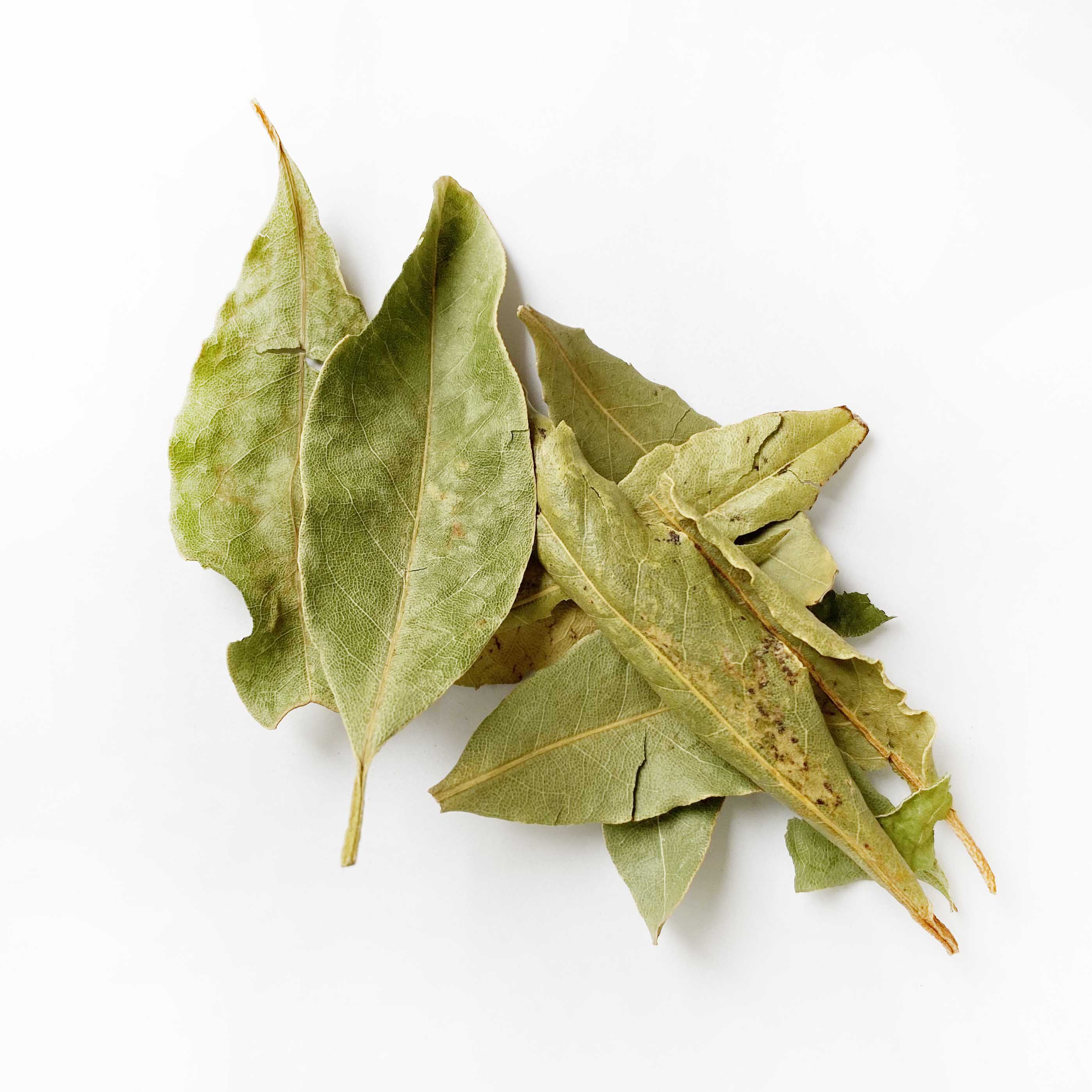 Laurel
