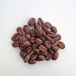 Café Perú Cajamarca Dark