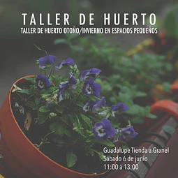 TALLER HUERTO OTOÑO/INVIERNO EN ESPACIOS PEQUEÑOS