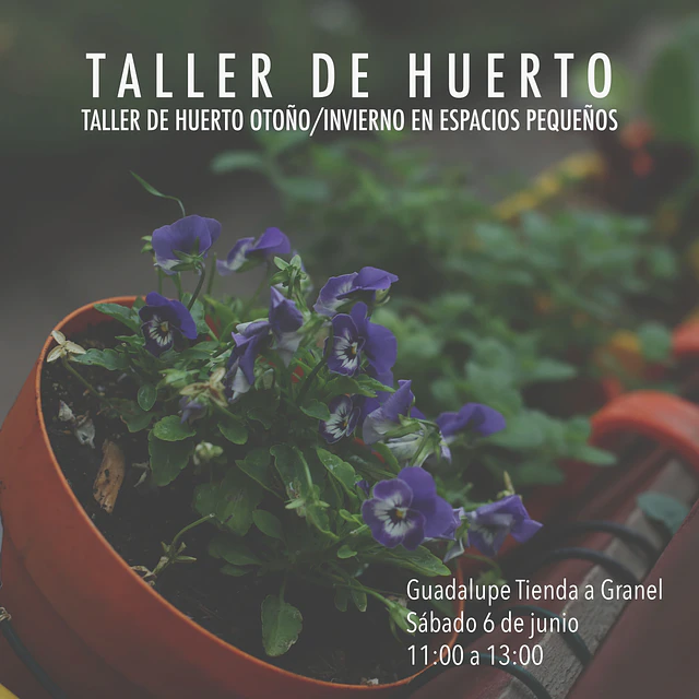 TALLER HUERTO OTOÑO/INVIERNO EN ESPACIOS PEQUEÑOS