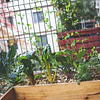 TALLER HUERTO OTOÑO/INVIERNO EN ESPACIOS PEQUEÑOS
