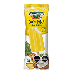 NUEVO! Barra de Fruta Coco Piña a la crema 20x60g