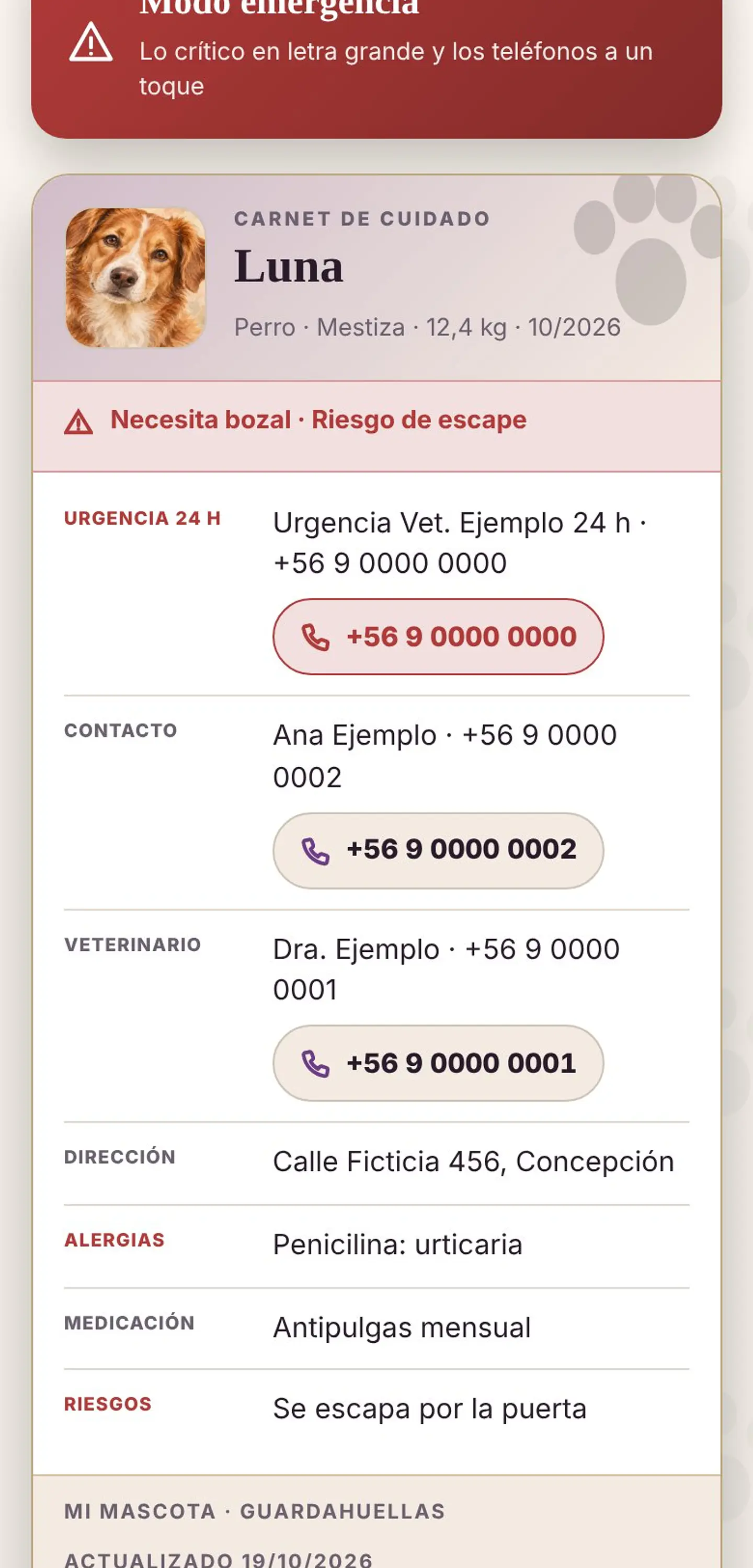 MI MASCOTA · Kit Esencial de Cuidado y Emergencia (perro y gato) 7