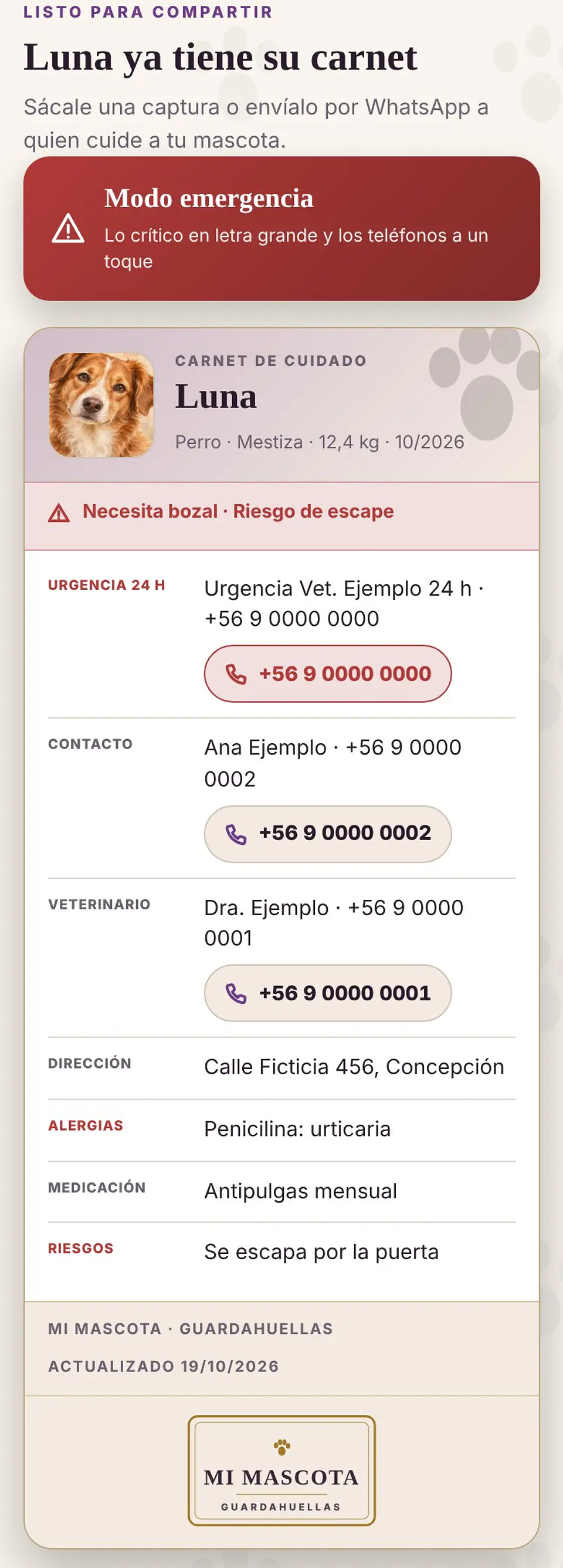 MI MASCOTA · Kit Esencial de Cuidado y Emergencia (perro y gato) 7