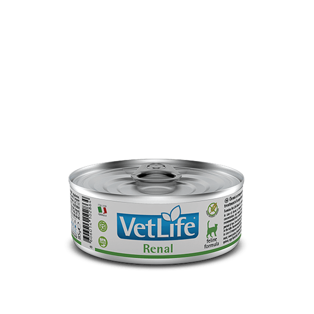 VETLIFE 85 GRS. LATA CONVALESCENCE CAT