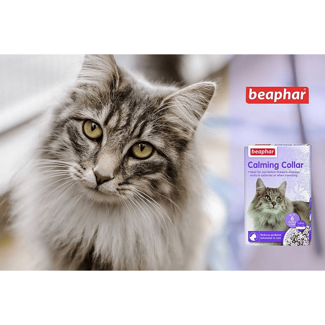 BEAPHAR CALMING COLLAR GATO 