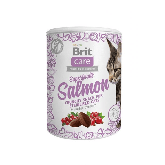 BRIT CARE 100 GRS. CAT SNACK SUPERFRUITS SALMON 
