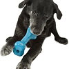 PLANET DOG HUESO AZUL L